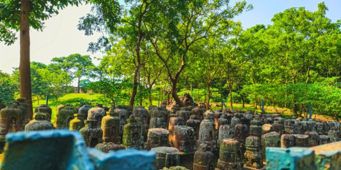 Explore Jajpur, a Timeless Town