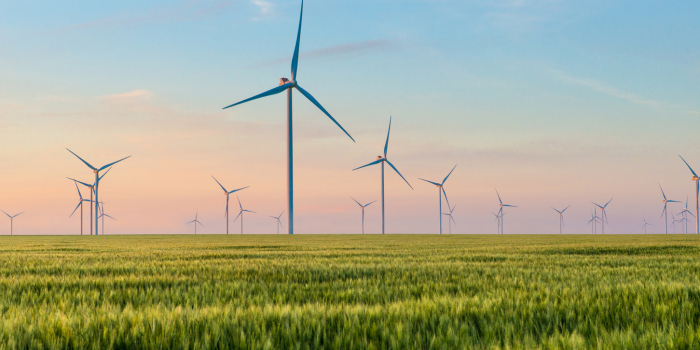 India’s Export Push and Odisha’s New Green-Power Policy