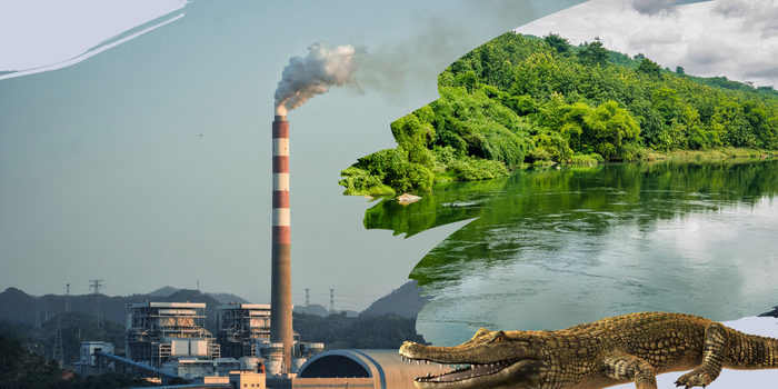 Discover Angul, The Land of Tradition, Nature and Power