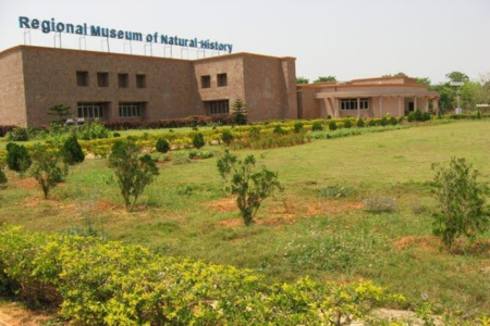 Regional Museum of Natural History