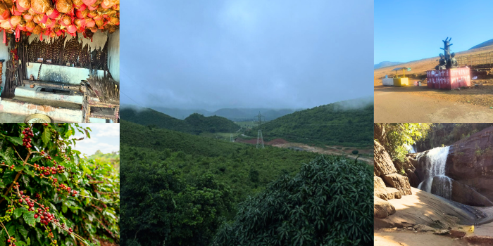 Koraput, Where Nature, Culture, and Coffee Breathe as One