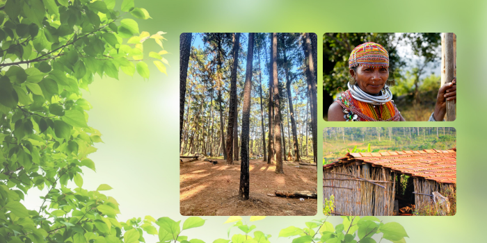 Kandhamal, Where Tribal Roots Meet Scenic Splendor