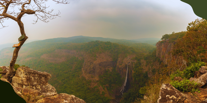 Mayurbhanj, The Largest Forested District of Odisha