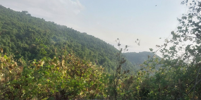 Dhenkanal