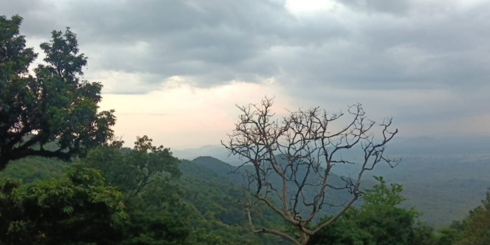 Discovering Dhenkanal, a Paradise of Scenery, Hills, and Nature